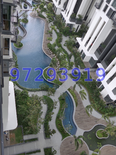 Foresque Residences (D23), Condominium #54906482